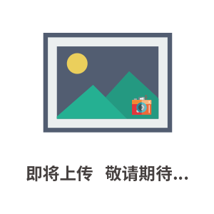 Sartorius賽多利斯傳感器